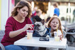 Mother and daughter enjoying with their French bulldog in cafeteria. 