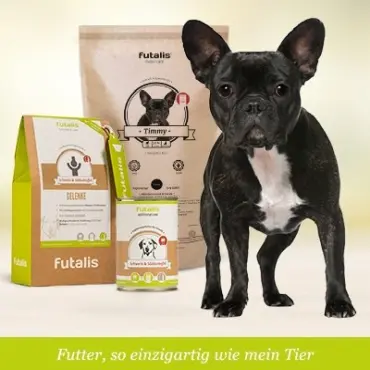 Welches Futter für Französische Bulldogge?