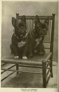 Historische Aufnahme 1905