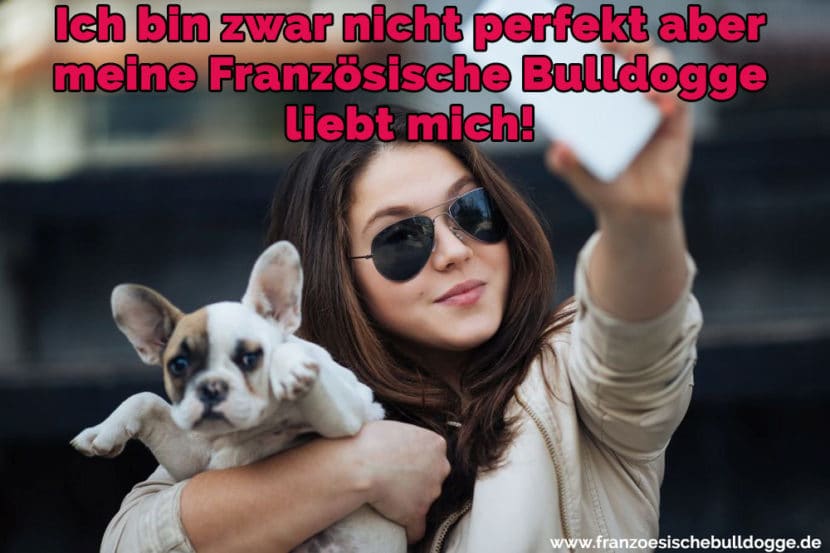 Französische Bulldogge Zitate und Sprüche FranzoesischeBulldogge.de