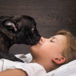 Ist die Französische Bulldogge für Kinder geeignet?
