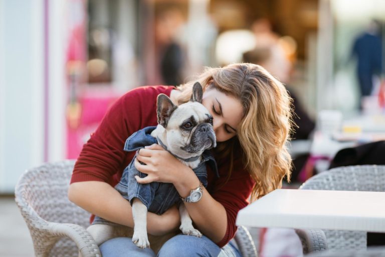 Meine Französische Bulldogge hat Verstopfung was tun?