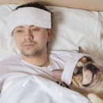 Sind Französische Bulldoggen krankheitsanfällig?