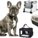 Welche Hundebox, Transportbox passt für die Französische Bulldogge?