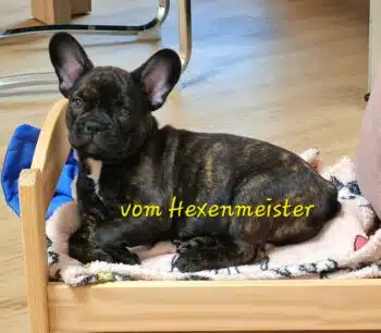 Miniaturansicht für das Anzeigenbild