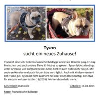 Tyson sucht ein neues Zuhause