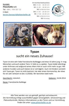 Tyson sucht ein neues Zuhause