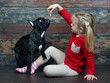 Little girl shows a piece of dog treats for the animals. Dog Training a child. Background old wooden board