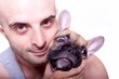 Little french bulldog puppy with a guy
